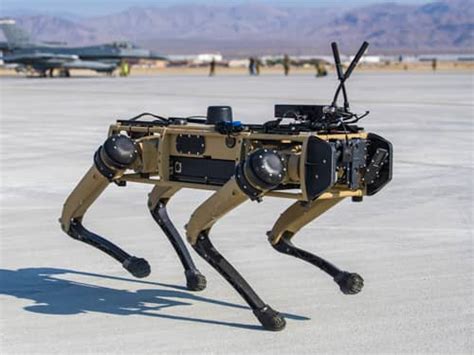 Robot Dogs Join Us Air Force Exercise Engoo 每日新聞