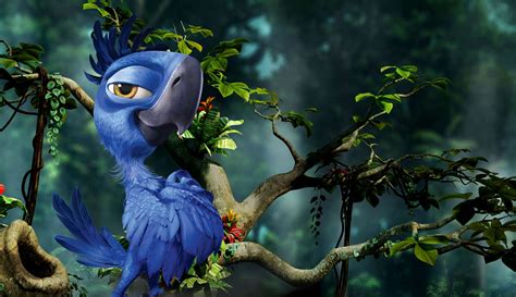 Rio 2 Wallpapers Pictures Images