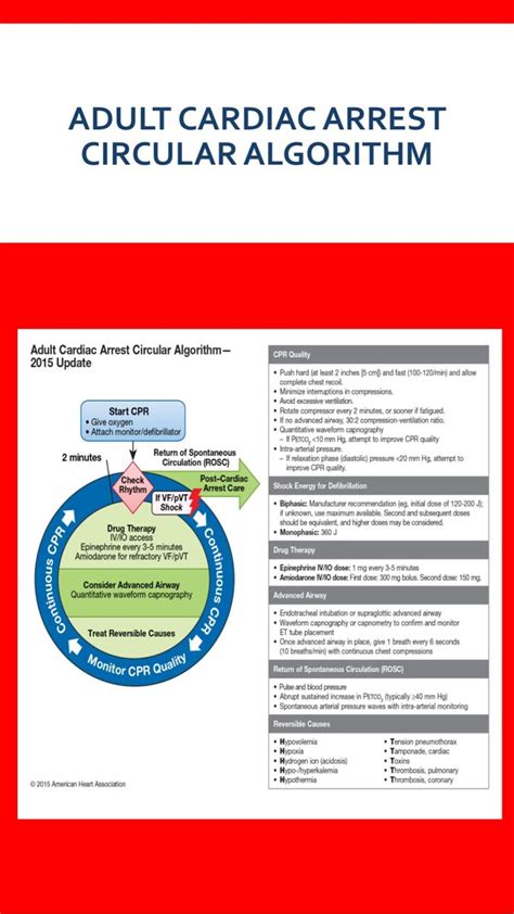 The most recent bls 2015 guidelines (ilcor 2015) retain many of the 2010 recommendations, again reinforcing the chain of survival. AHA 2015 Algorithms for BLS, ACLS PALS | Pals algorithm ...