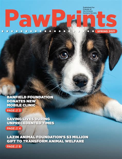 Pawprints Magazine Spring By Arizona Humane Society Issuu