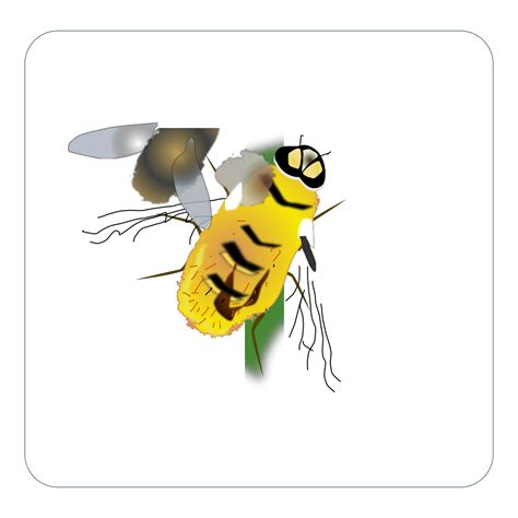 Digital Bee Art Png Svg Clip Art For Web Download Clip Art Png Icon