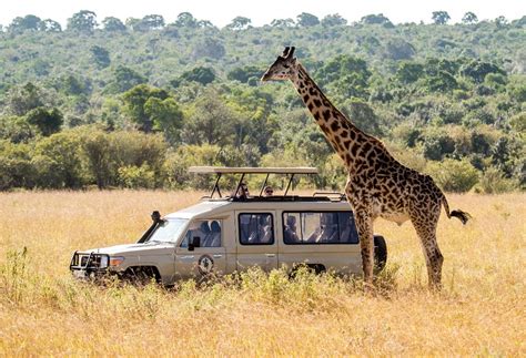 South African Tours And Travel Best Packages For South Africa Tour
