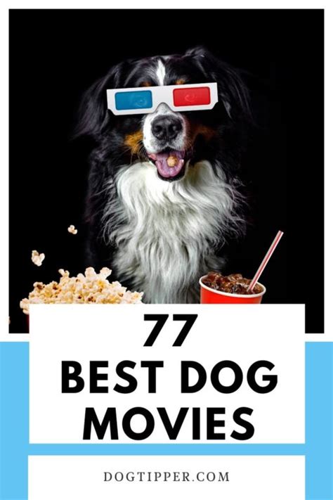 77 Best Dog Movies To Make You Laugh Or Cry