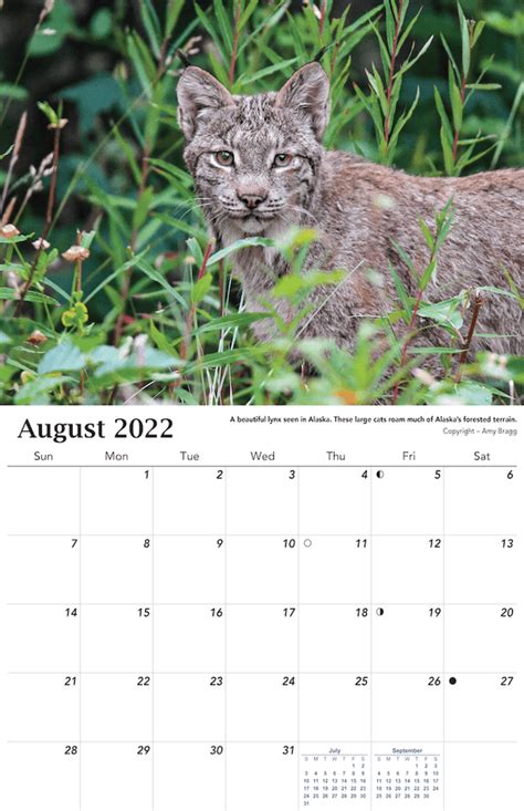 2022 Alaska Wildlife Calendar Beautiful Alaskan Wildlife Wall Hanging