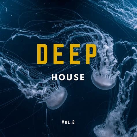 Deep House Music Compilation Vol 2 Various Artists Qobuz
