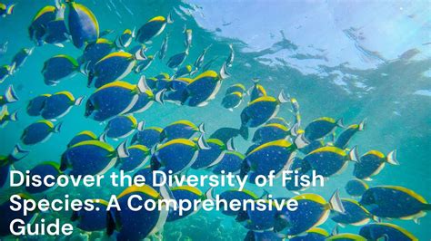 Discover The Diversity Of Fish Species A Comprehensive Guide The