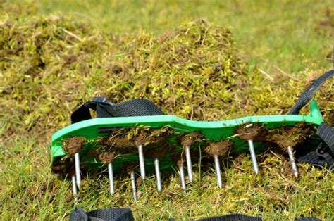 For small lawns or thatch less than 1 inch thick, consider removing thatch with a rake. Dethatching vs Aerating: What's The Difference? - Weed Killer Guide