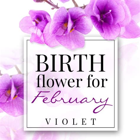 Birth Flower For February Violet February Birth Flower Tattoo With Name