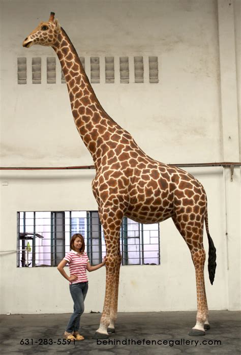 Giant Giraffe Statue 18 Ft 18ft Adult Giraffe Statue