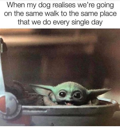 18 Baby Yoda Memes To Make Your Day More Adorable Blog Do Armindo
