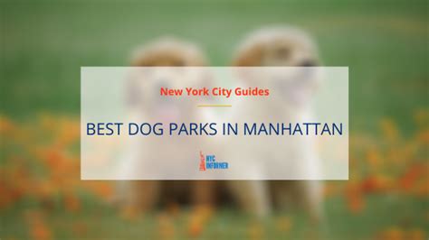 Best Dog Parks In Manhattan 10 Best Off Leash Dog Parks And Runs In