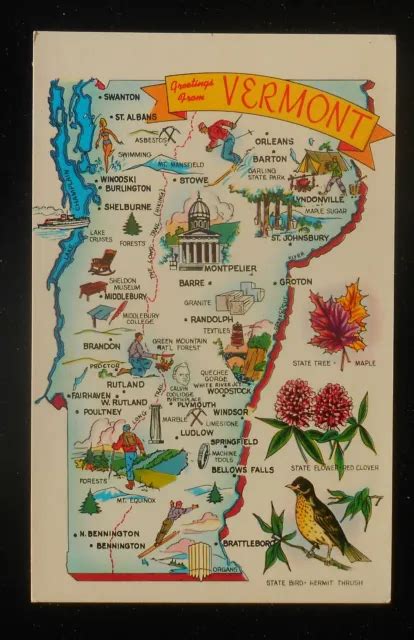 1950s State Map Of Vermont Maple Red Clover Hermit Thrush Icons