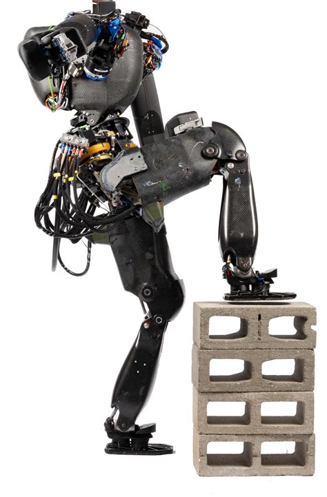 nadia humanoid robot