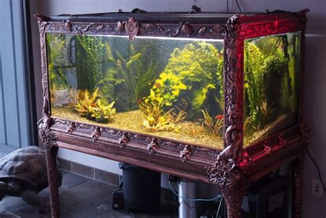 30 Fabulous Fish Tank And Aquarium Ideas