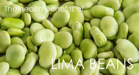 Health Benefits Of Lima Beans Ask Dr Nandi Official Site