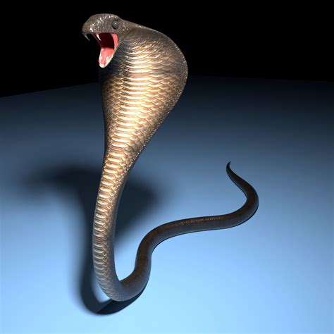 3d Model Snake Cobra Vr Ar Low Poly Cgtrader