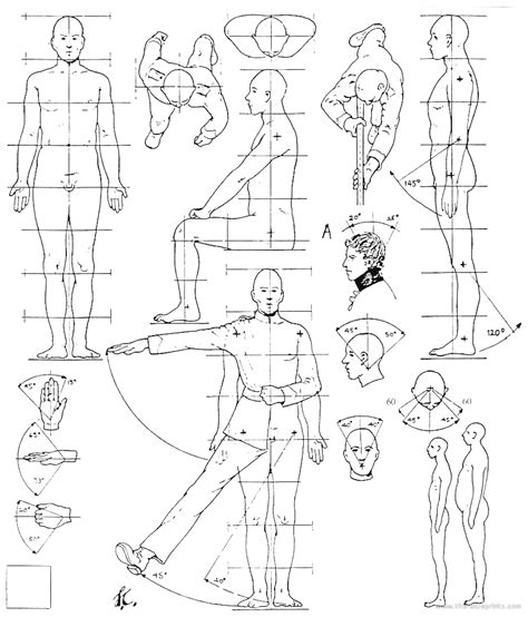 Male Blueprints Free Outlines