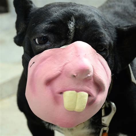 Halloween Dog Funny Mouth Mask Humor Pet Masks Entertainment Bull Dog