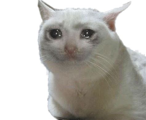 Note backgrounds will not be super detailed due to limited space. Crying Cat Png Meme | Digital Games and Software