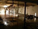 Photos of Cleaning After A Flooded Basement