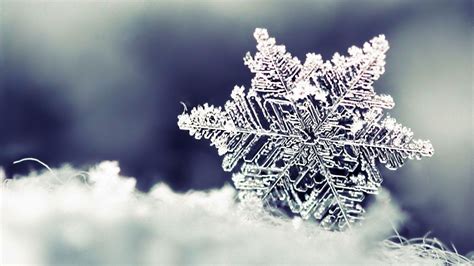 Snowflake Wallpaper Winter Frost Freezing Macro Photography Close