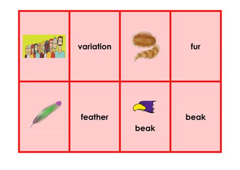 Games And Activities Supporting Year 2 Scientific Topic Vocabulary