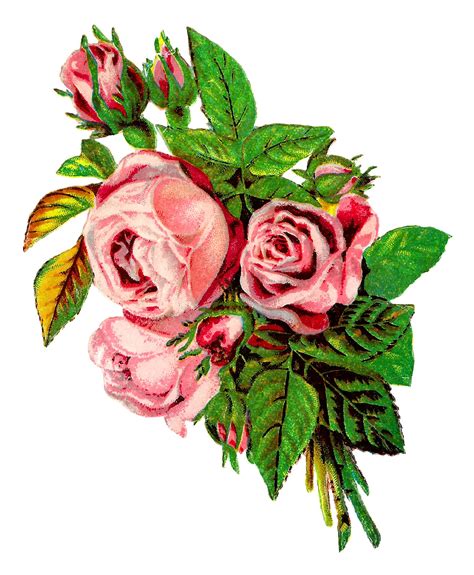 Antique Images Vintage Shabby Chic Pink Rose Clip Art