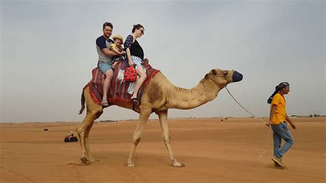 Camel Ride Youtube
