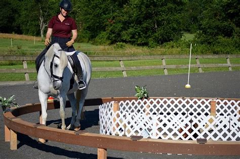 Working Equitation Clinic And Eoh Clinics And Training