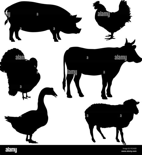 Vector Silhouettes Of Farm Animals Isolated On White Stock Vector Image