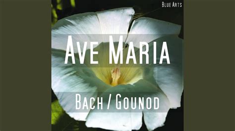 Ave Maria Bach Gounod Youtube