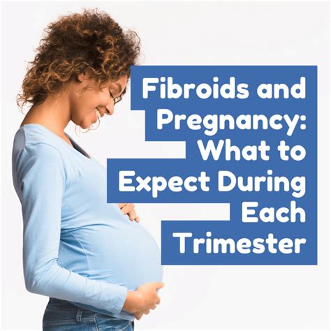 Fibroids And Pregnancy What To Expect During Each Trimester New York