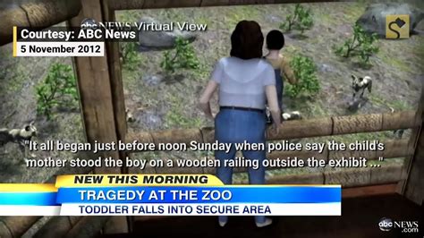 Did Wild Dogs Kill A Two Year Old Boy At A Zoo Youtube