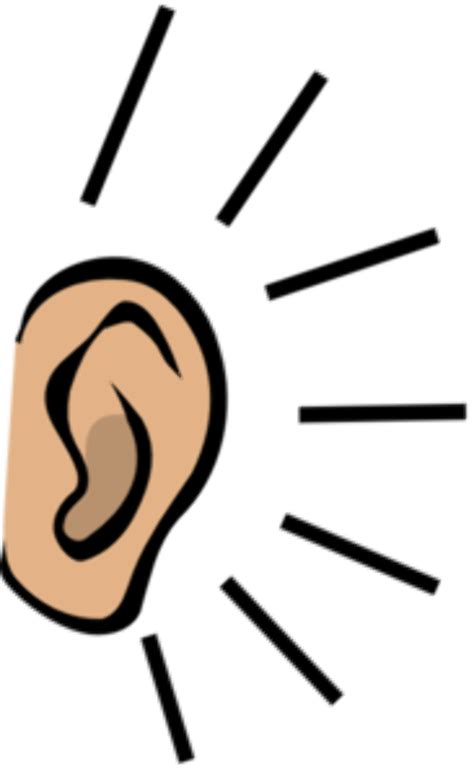 Download High Quality Ear Clip Art Simple Transparent Png Images Art