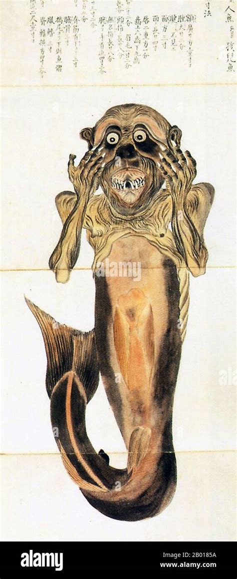 japan a ningyo or mermaid as represented by baien mouri 1798 1851 in his baien book of