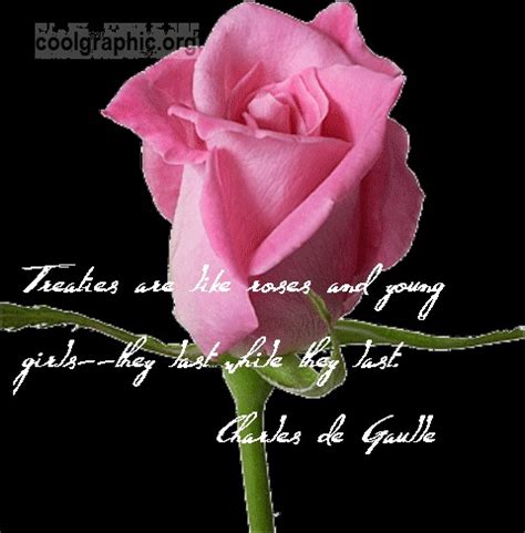 We did not find results for: Quotes About Death And Roses. QuotesGram