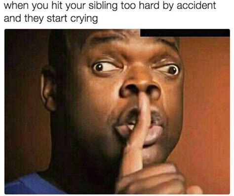 40 Hilariously Relatable Sibling Memes Lively Pals Sibling Memes