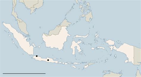 Indonesia Police Arrest 141 Men Accused Of Having Gay Sex Party The