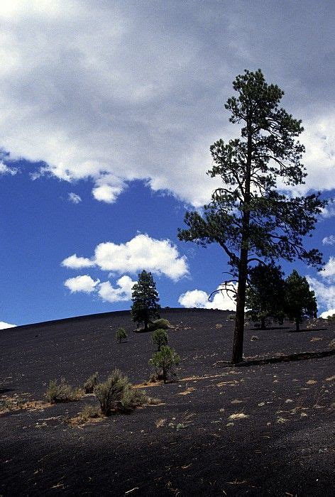 Sunset Crater Arizona This Place Is Pretty Cool And It Will Remind You