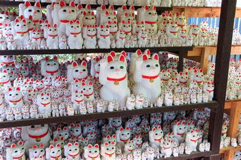 Maneki Neko Lucky Cat In Gotokuji Temple Tokyo Japan Stock Image