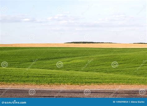 Panorama Of Beautiful Countryside Of Belarus Sunny Afternoon
