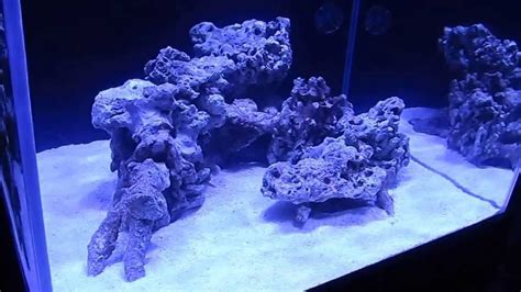 My New Cube Reef Aquascaping 2013 Youtube Reef Aquascaping Reef