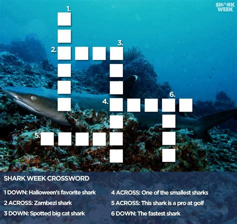 The perfect puzzle that's short enough to play twice! Shark Crossword puzzle... | Zambezi shark, Cat shark ...