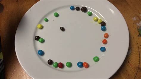Make A Rainbow With Mandms And Water Youtube