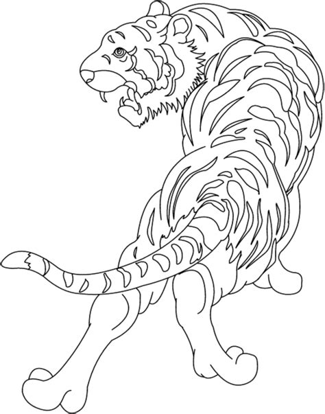 Tigre Para Colorear Dibujo Rincon Dibujos Images