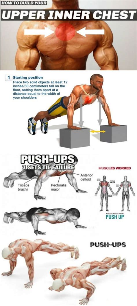 Perhaps One Of The Easiest Exercise Movements The Standard Push Up Activates Nearly Every Muscle