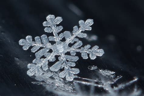 Flakes In Situ December 5th 2018 1 First Snowflake Mac Flickr