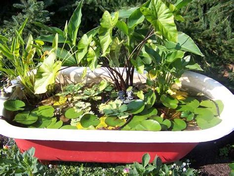 See more ideas about container water gardens, water garden, stock tank. Using an old bathtub to make a pond | Garden bathtub ...