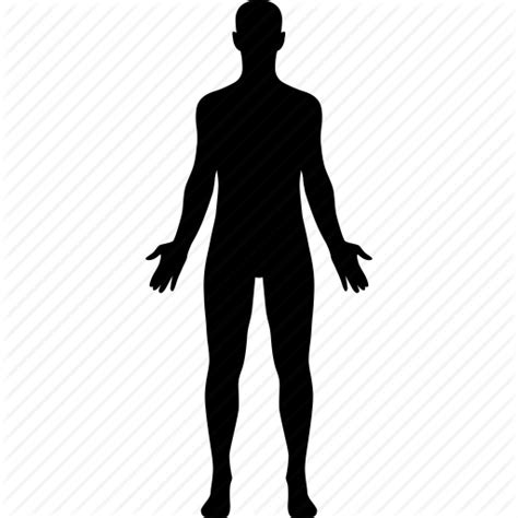 Human Body Computer Icons Anatomy Homo Sapiens Vector Human Icon Png