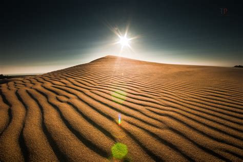 Coast Oregon Landscape Sun Organic Pattern Desert Dune Sand